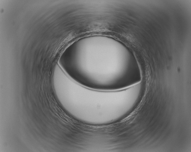 X0000054441257200507290917