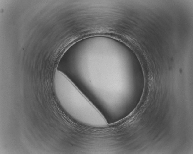 X0000054441265200507290917