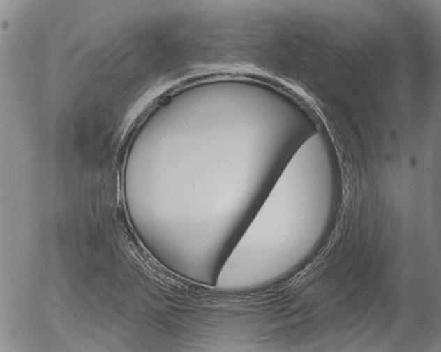 X0000054441271200507290917