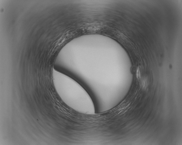 X0000054441299200507290916