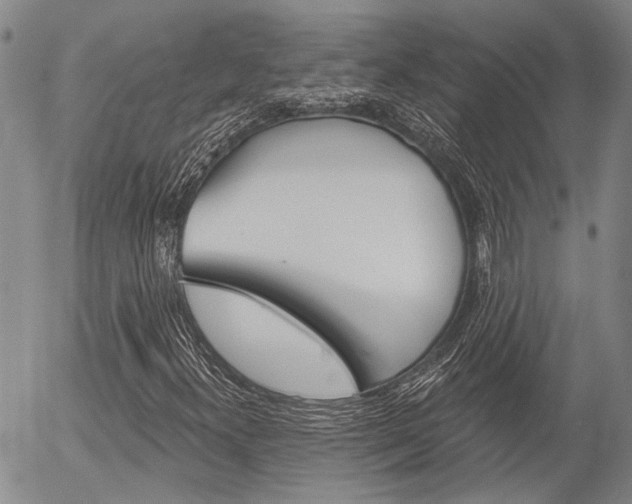 X0000054441300200507290916