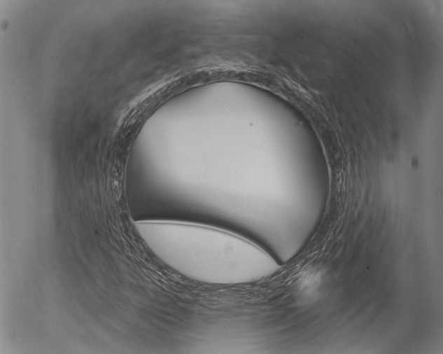 X0000054441303200507290916