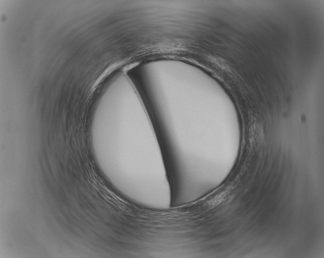X0000054441306200507290916