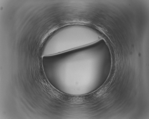 X0000054441307200507290916