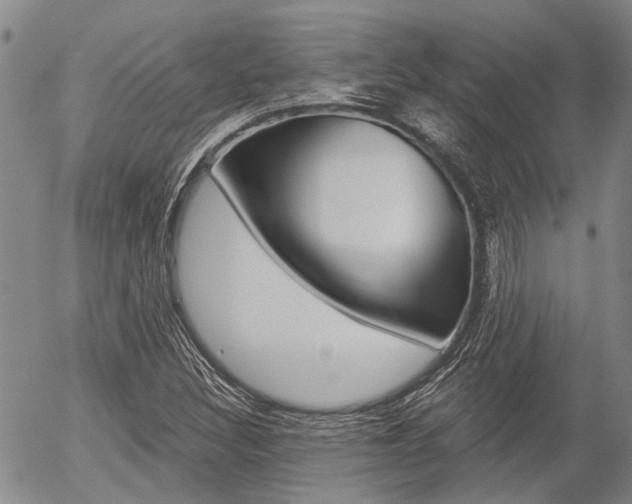 X0000054441308200507290916