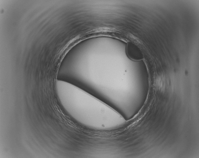 X0000054441313200507290916