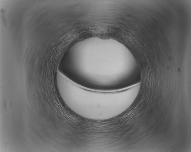 X0000054441345200507290916
