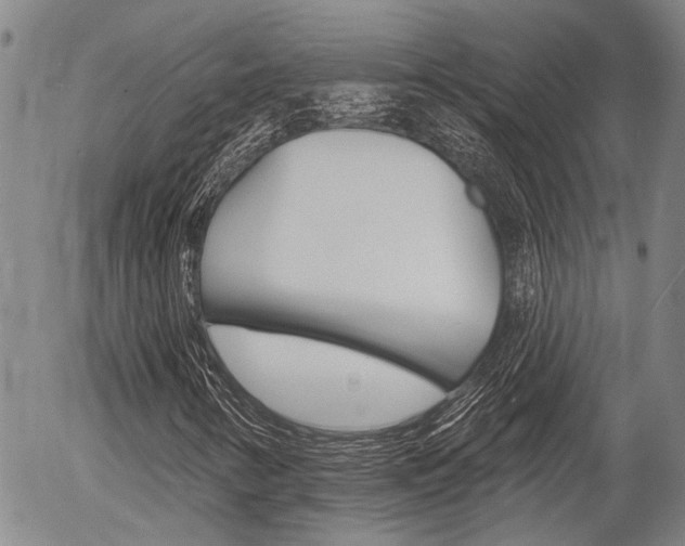 X0000054441346200507290916