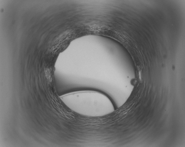 X0000054441347200507290916