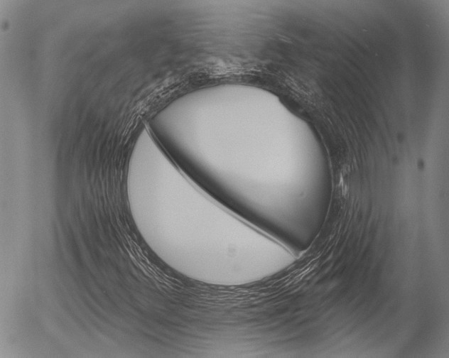X0000054441348200507290916