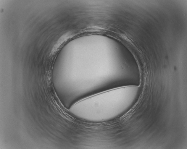 X0000054441355200507290916