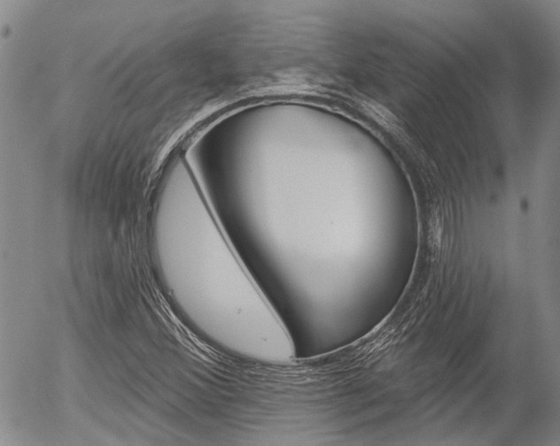 X0000054441356200507290916
