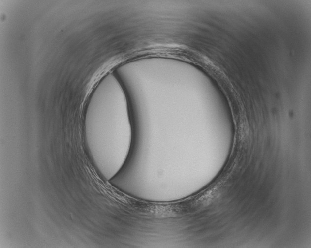 X0000054441362200507290916