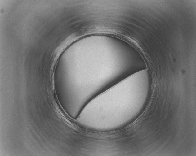 X0000054441371200507290915