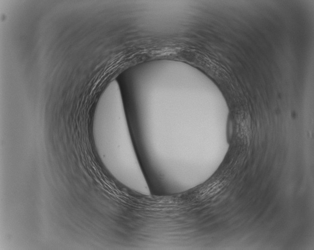 X0000054441393200507290914