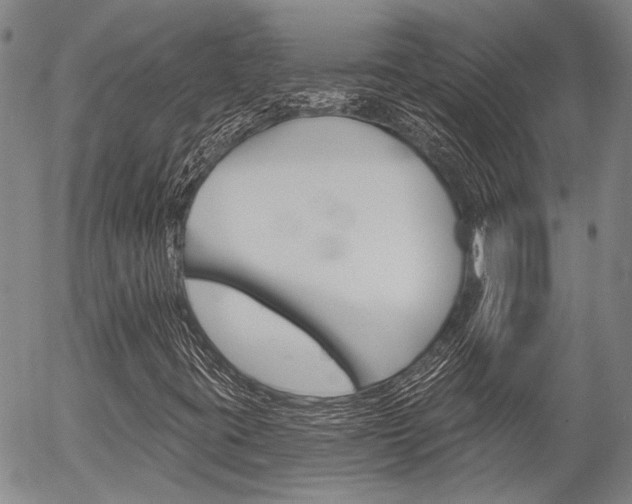 X0000054441395200507290914