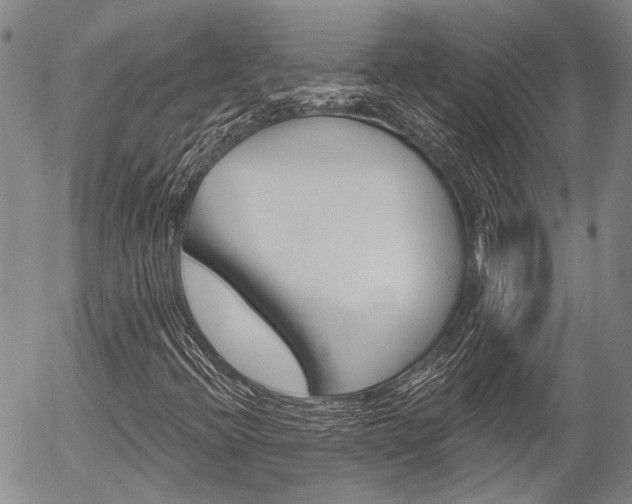 X0000054441396200507290914