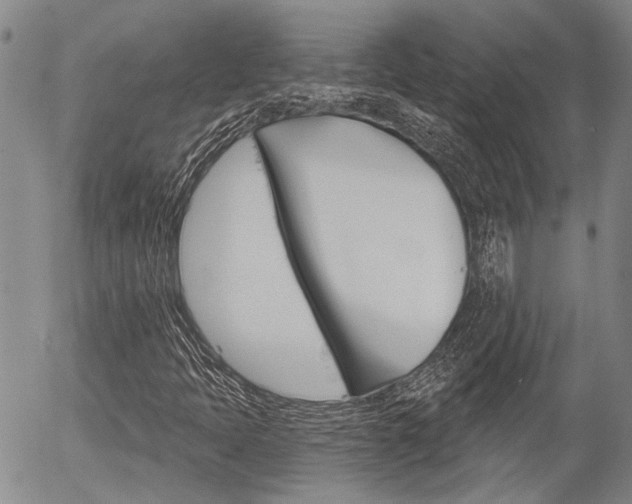 X0000054441397200507290914