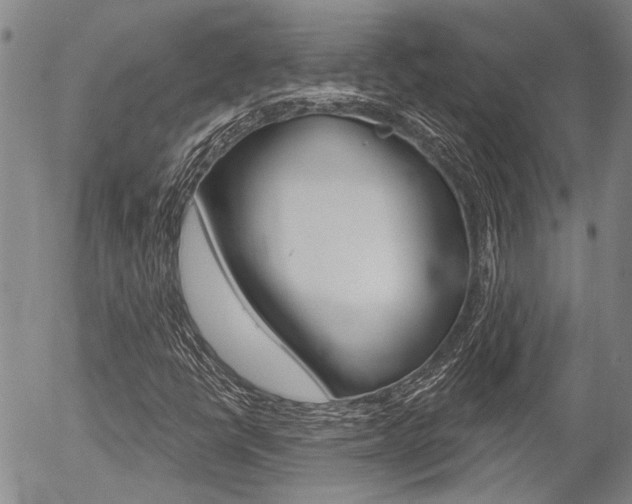 X0000054441398200507290914