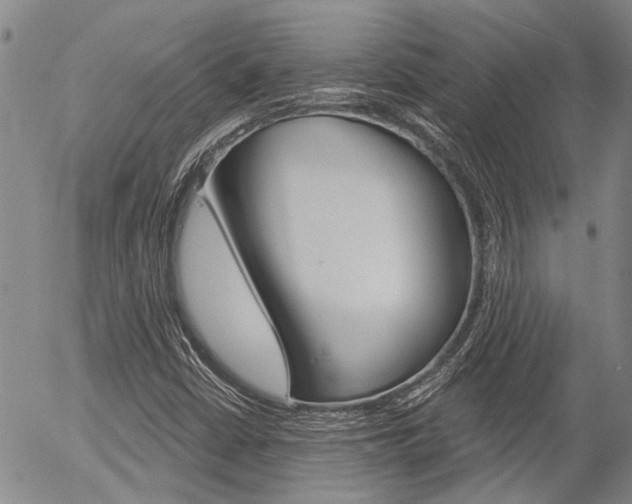X0000054441402200507290914