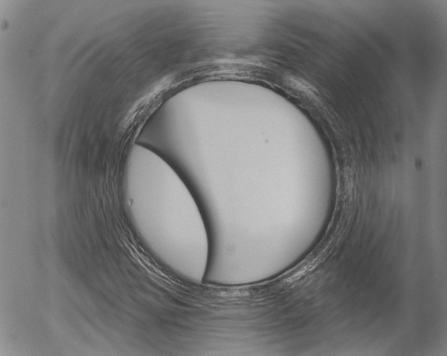 X0000054441403200507290914