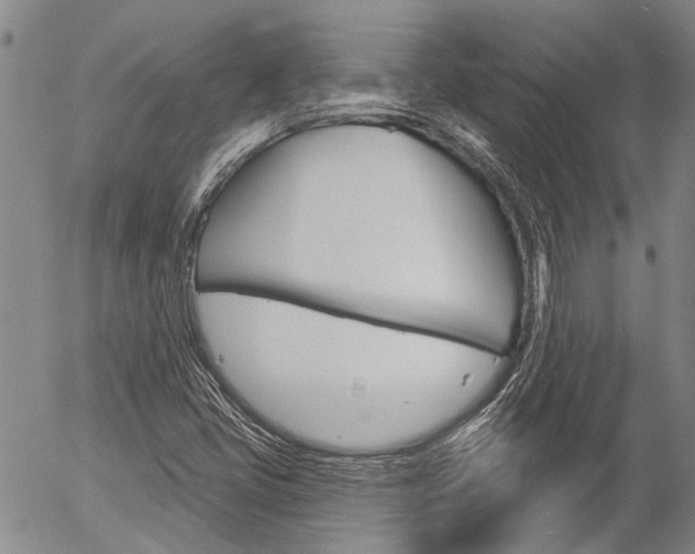 X0000054441405200507290914