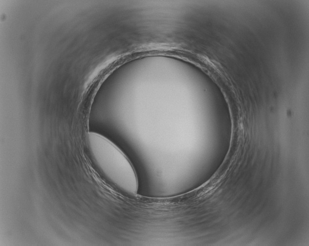 X0000054441406200507290914