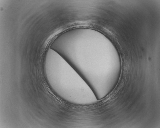 X0000054441411200507290915