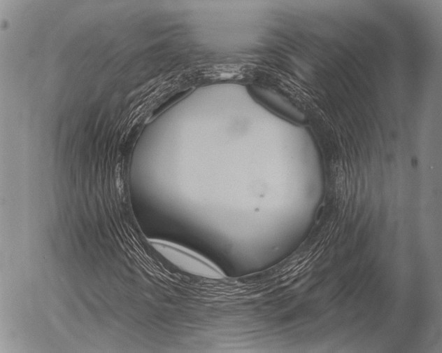 X0000054441442200507290914