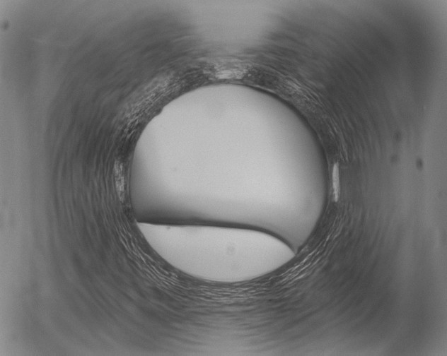 X0000054441443200507290914