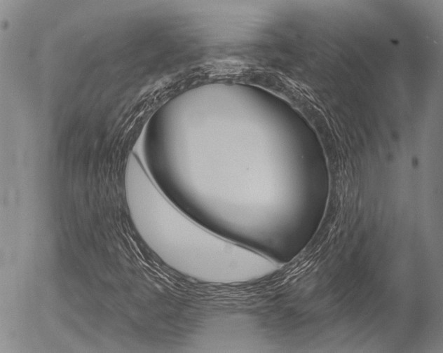 X0000054441445200507290914