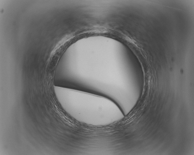 X0000054441448200507290914