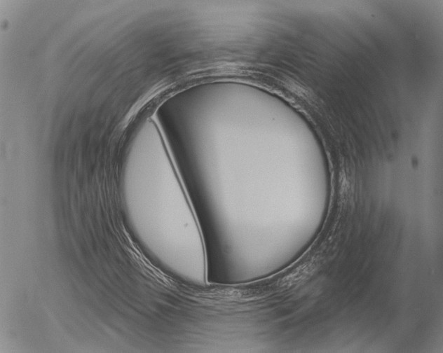 X0000054441450200507290914
