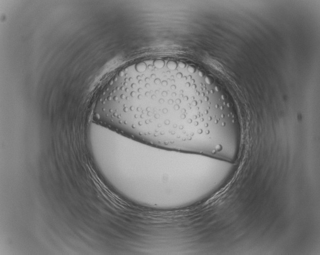 X0000054441451200507290914