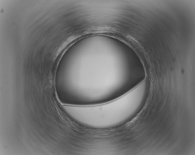 X0000054441457200507290914