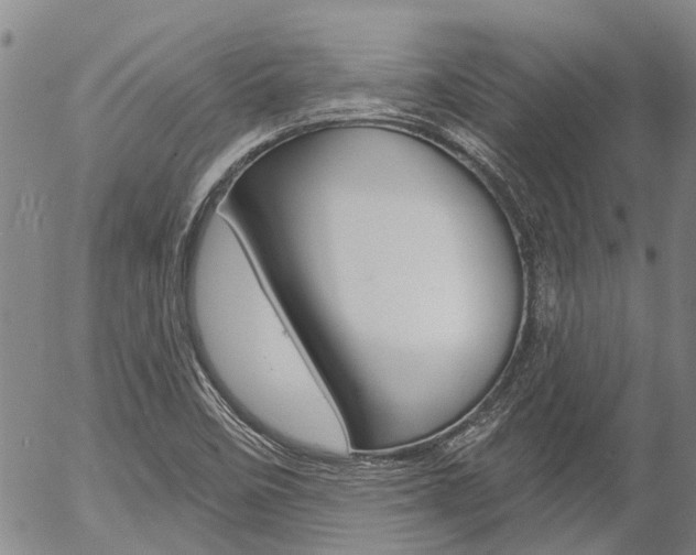 X0000054441458200507290914