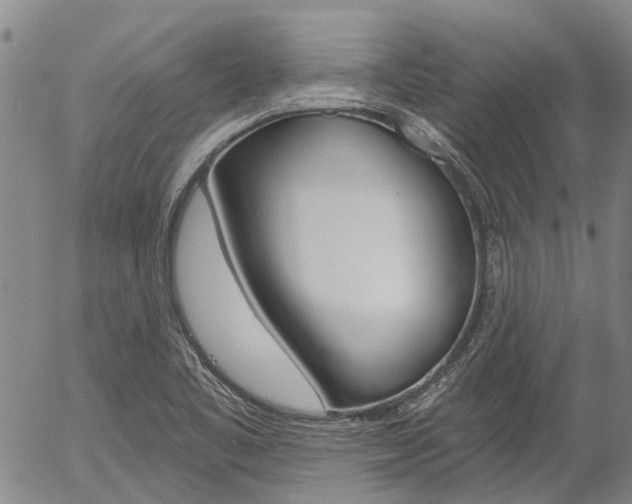 X0000054441461200507290914