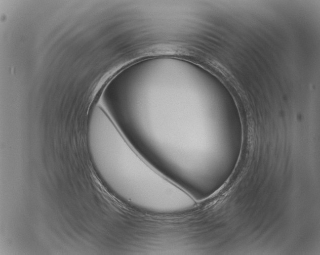 X0000054441465200507290914