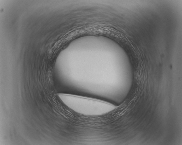 X0000054441490200507290913
