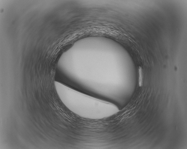 X0000054441491200507290913