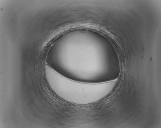 X0000054441496200507290913