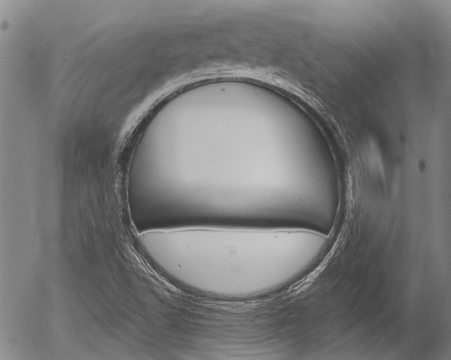 X0000054441502200507290913