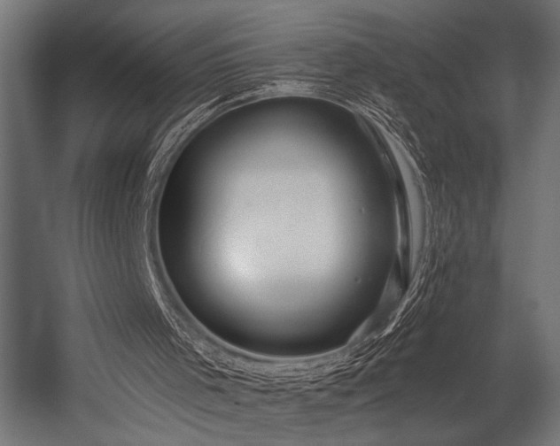 X0000054440001200507291330