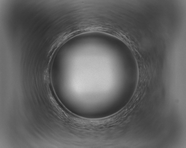 X0000054440002200507291330