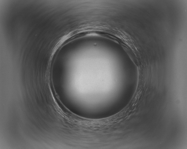 X0000054440003200507291330