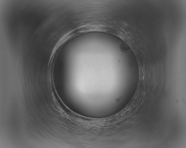 X0000054440004200507291330