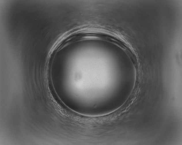 X0000054440007200507291330