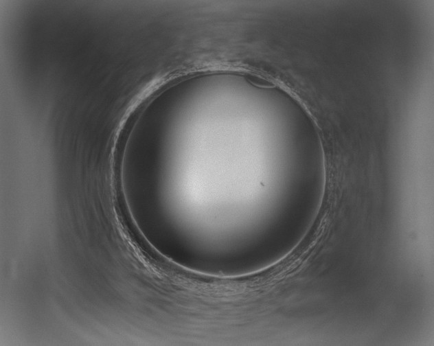 X0000054440008200507291330