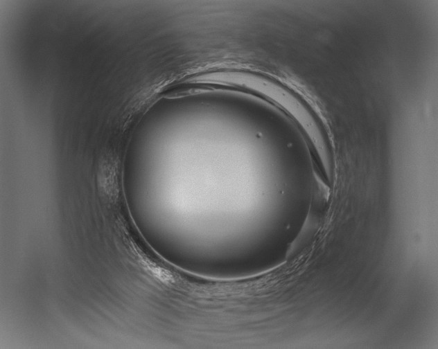 X0000054440009200507291330