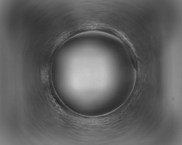 X0000054440010200507291330